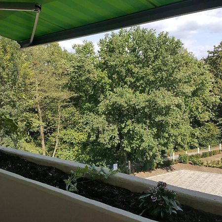MariaPrimaVera Apartment am Kurpark mit Schwarzwaldblick * * * * Bad Krozingen Bagian luar foto