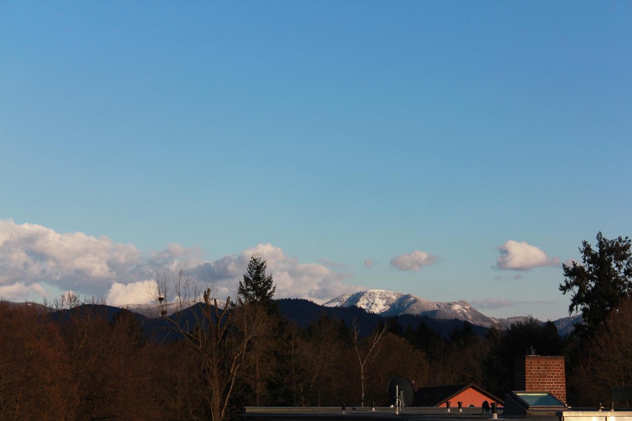 MariaPrimaVera Apartment am Kurpark mit Schwarzwaldblick * * * * Bad Krozingen Bagian luar foto